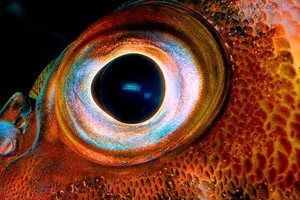 Hiperactividad at 3am