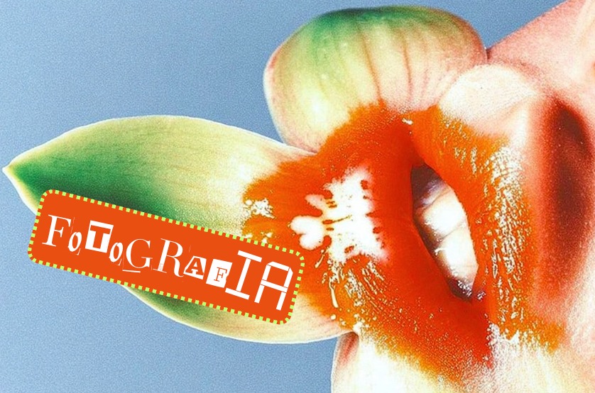 Imagen de FotografIA’s